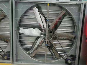 畜牧风机如何选？玖牧和设备为您详解选购要点